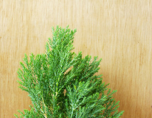 green leaves on the old wooden background