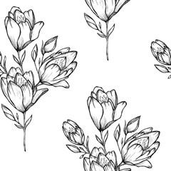 Sketch of flowers by hand on an isolated background