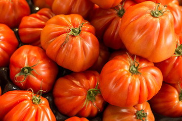 tomatoes in the market of Dijon, France
