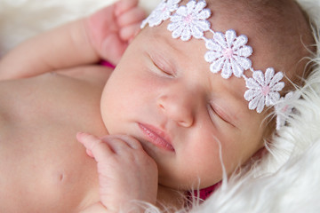 Obraz na płótnie Canvas 7 day old newborn baby girl sleeping in a bowl with light pink background