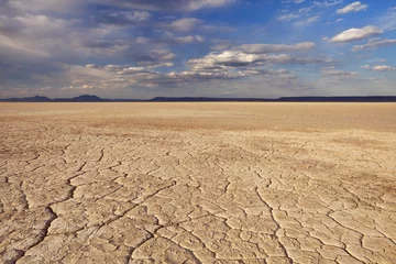 Abwaschbare Fototapete Dürre Rissige Erde in der abgelegenen Alvord-Wüste, Oregon, USA