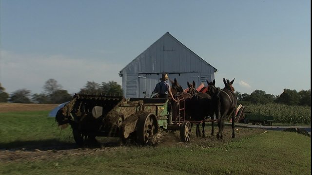 Amish farm implement passing by