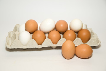 Chicken eggs of different colors in the package for sale