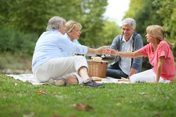 Selbstklebende Fototapeten Group of senior people enjoying picnic on sunny day © goodluz