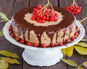 Chocolate cake drizzled with chocolate icing and decorated with fresh cranberries.selective focus