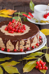 Chocolate cake drizzled with chocolate icing and decorated with fresh cranberries.selective focus