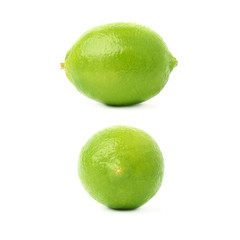 Set of two single limes in different compositions and