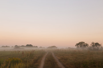 travel along the fog on the morning meadow