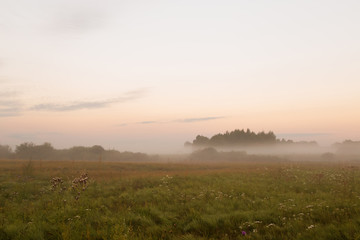travel along the fog on the morning meadow