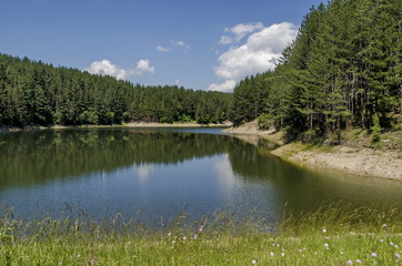 Small dam or reservoir in beautiful mountain Plana, Alino, Bulgaria 