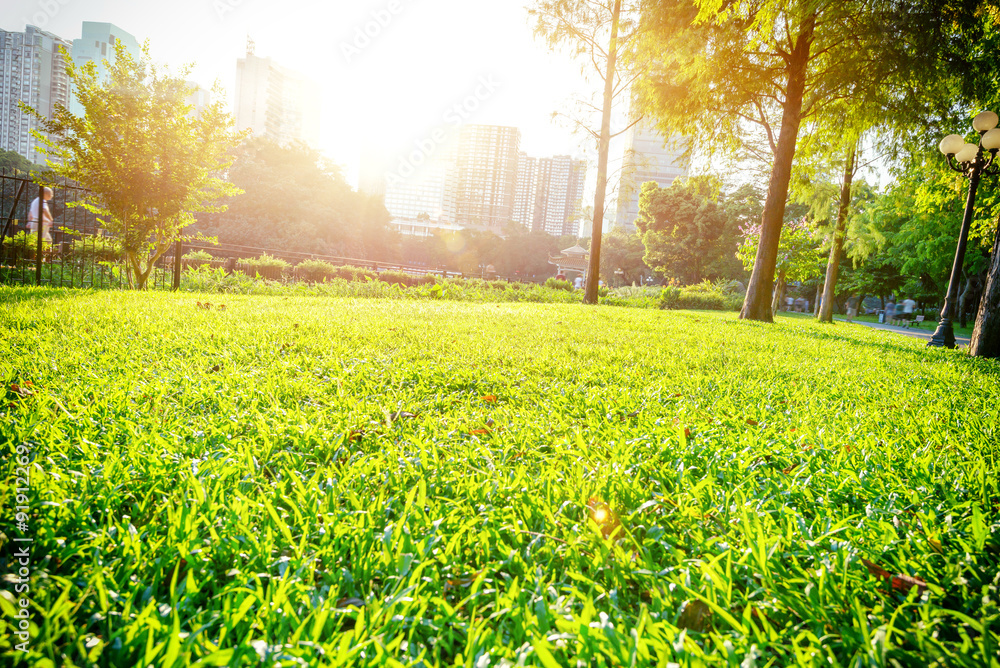 Sticker green park under sunshine