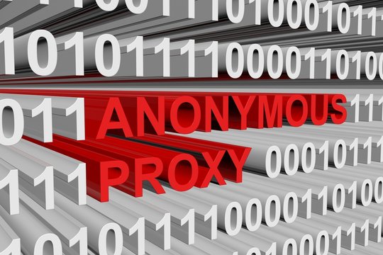 anonymous proxy is presented in the form of binary code