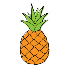 Single pineapple on white background. Vector Graphics.