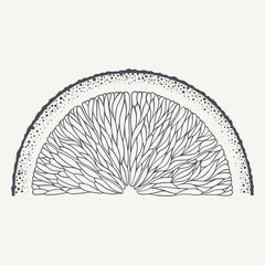 Black and white hand-drawn image of orange slice. Vector graphic.
