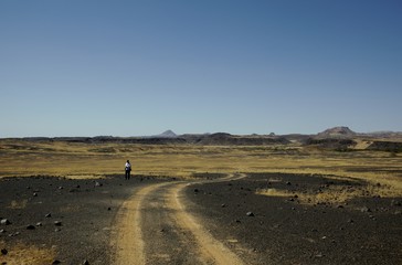 Fototapeta na wymiar Deserto namibiano
