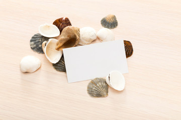 Letter from the beach. Seashells