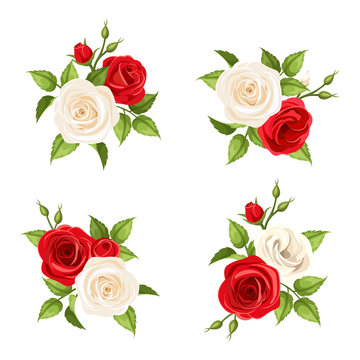 Bouquets of red and white roses. Vector set of four illustrations.