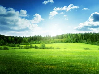 Fotobehang grasveld en perfecte lucht © Iakov Kalinin