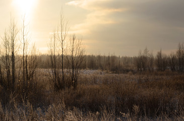 Fototapeta na wymiar Evening winter landscape