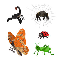 Cartoon set: scorpion spider butterfly ladybug grasshopper