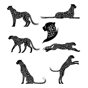 Set of graphic cheetahs