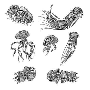 Jellyfish graphic patterns. Abstract illustrations.