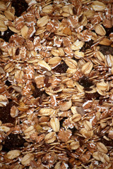 Muesli