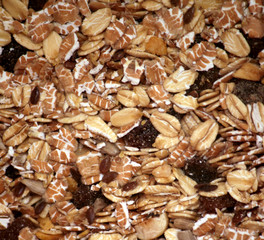 Muesli