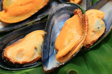 big mussel
