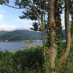 лето в Японии