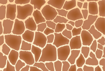 giraffe skin background © anankkml