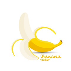 Banana, fruit vector illustration