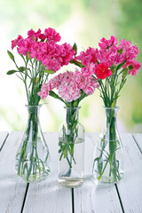 Beautiful bouquet of pink carnation in vases on bright background