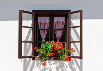 Village house window and red flowers