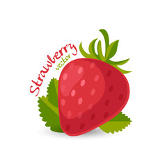 strawberry vector