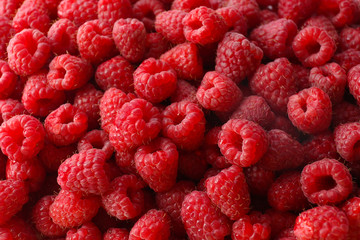 Heap of sweet red raspberries close up