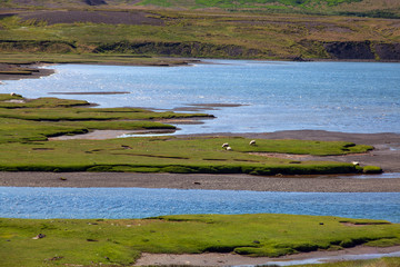 Icelandic seascape archipelago