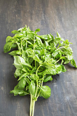 Bunch of Fresh Organic Basil