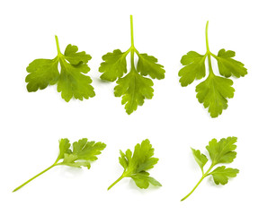 Parsley leaves isolated