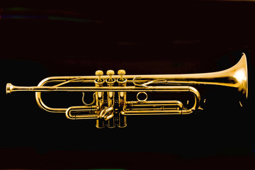 gold trumpet isolated on black background