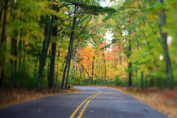 Road with Curve Through Autumn Forest in Wisconsin