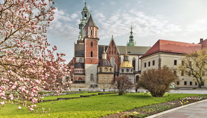 Fototapeta Krakow - Wawel castle at spring obraz
