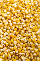 corn seeds texture