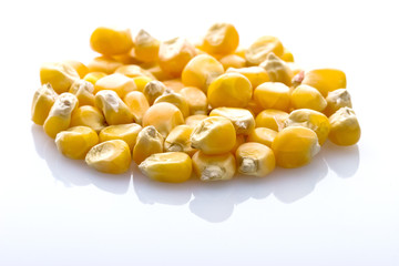 Corn seeds isolated on white