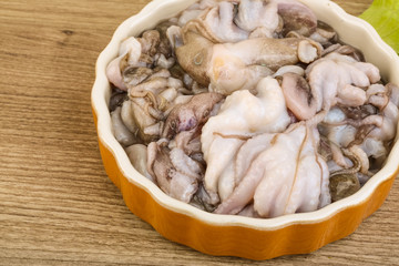 Raw baby octopus