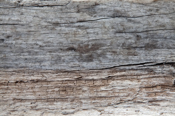 Fototapeta na wymiar Driftwood texture