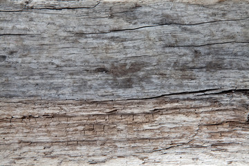 Driftwood texture