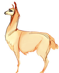 Children's book illustration of a lama © luvchieva