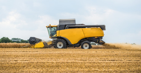 Obraz premium Mähdrescher bei der Ernte eines Getreidefeldes