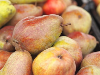 Pile of premium big Williams pears at farmers market in Prague. 